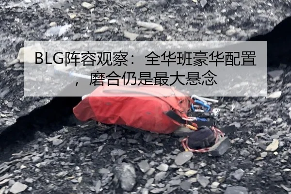 BLG阵容观察：全华班豪华配置，磨合仍是最大悬念 | leyu